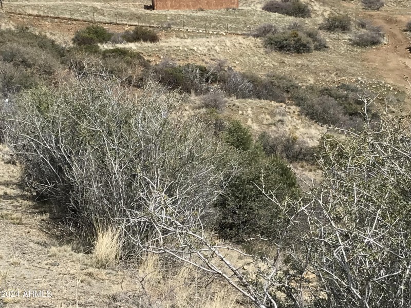 81574819-B6B1-47DE-811B-BB31DD2501FC