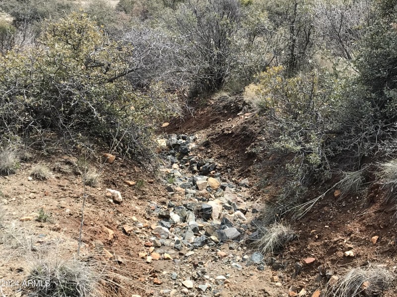 2D8A4727-97FD-4CDC-A8E2-949B51F17733