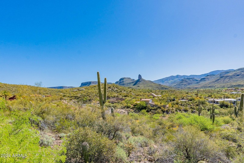 2-web-or-mls-Shadow-2