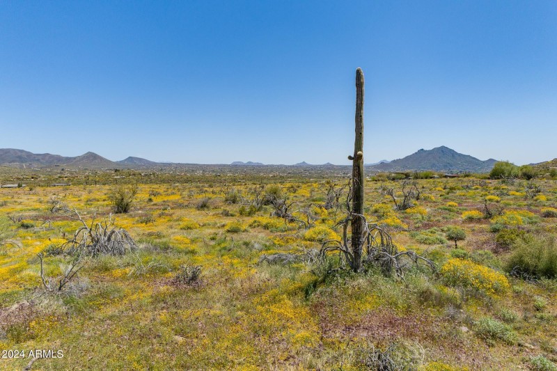 211-01-005-V (7 of 40)