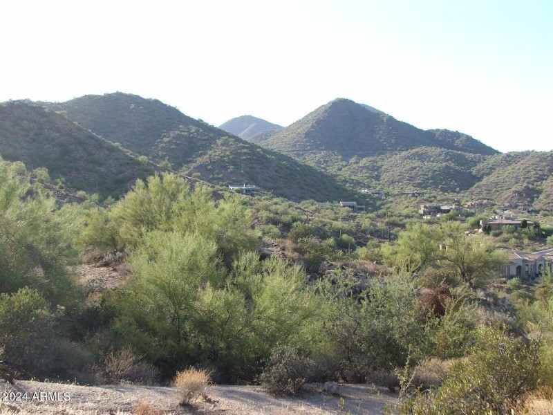McDowell Mountains
