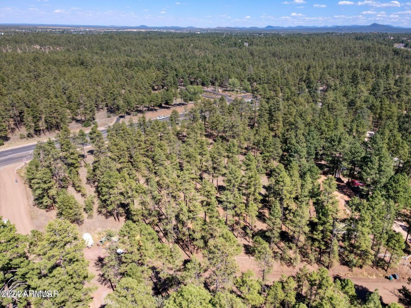 Top location, scenic pine view