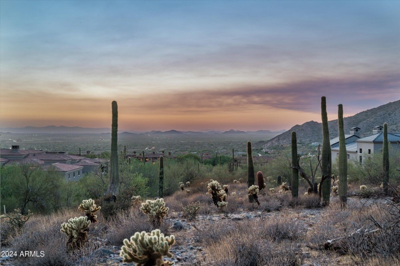 Sonoran Sky