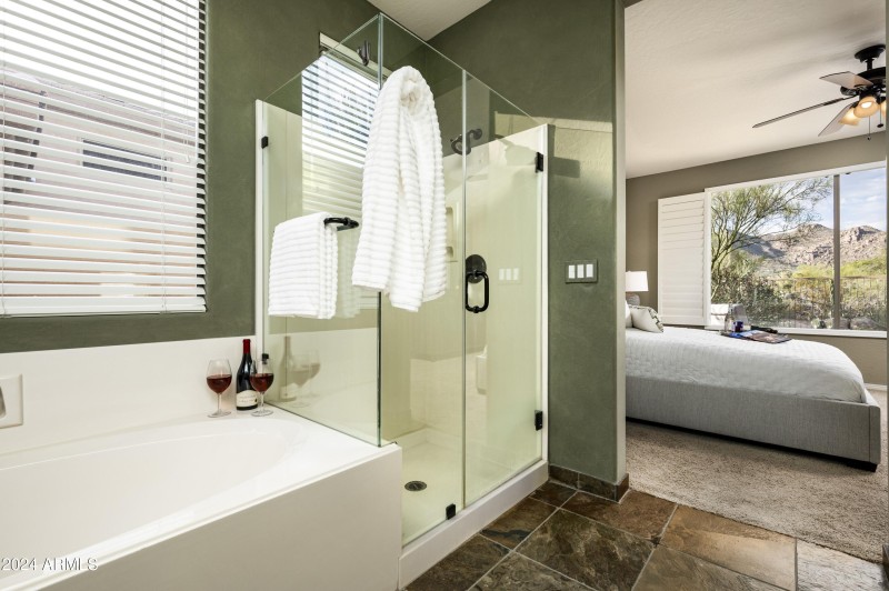 Lounge Tub and Shower