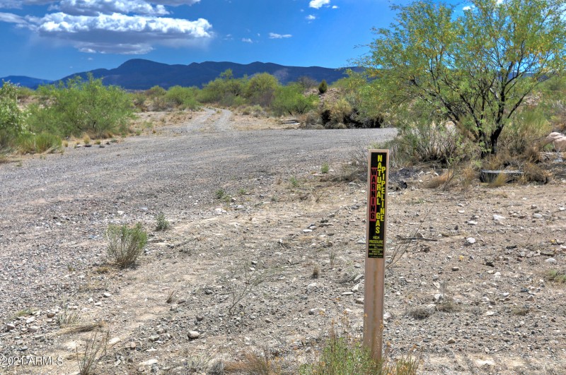 1U7A0016_17_18_19_20