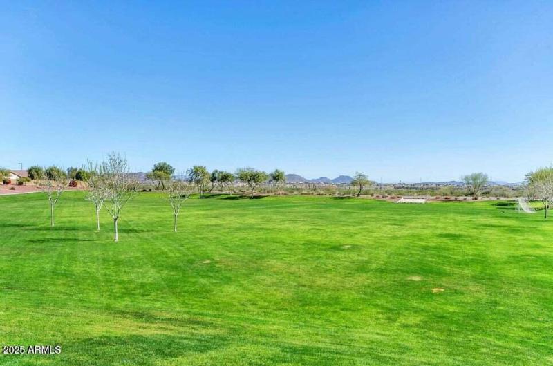 20250223170423905322000000-o