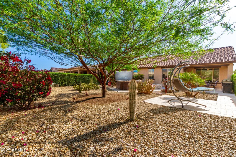 large lot with desert foliage