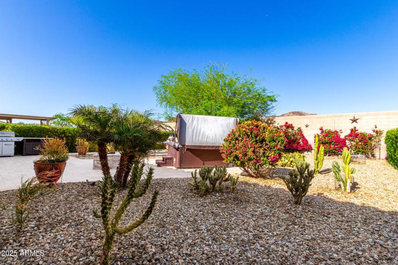 no neighbors in the back