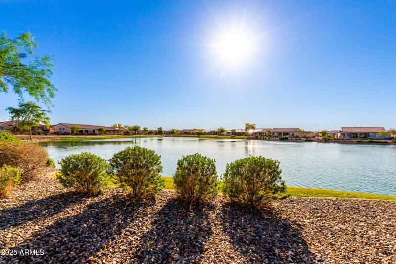 View of the lakes at the resort pool