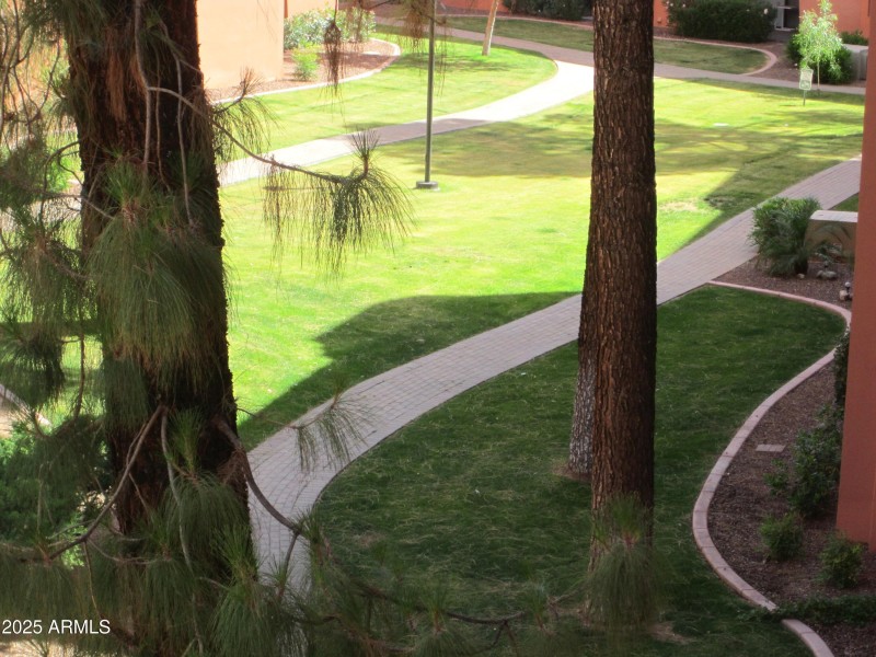 3 325 WALKING PATH BELOW