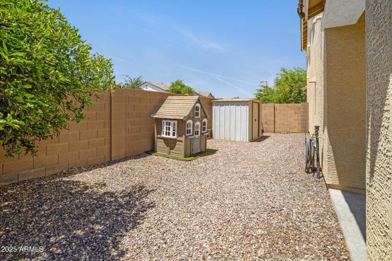 South side back yard