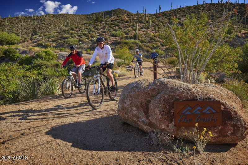 Trails mountain biking