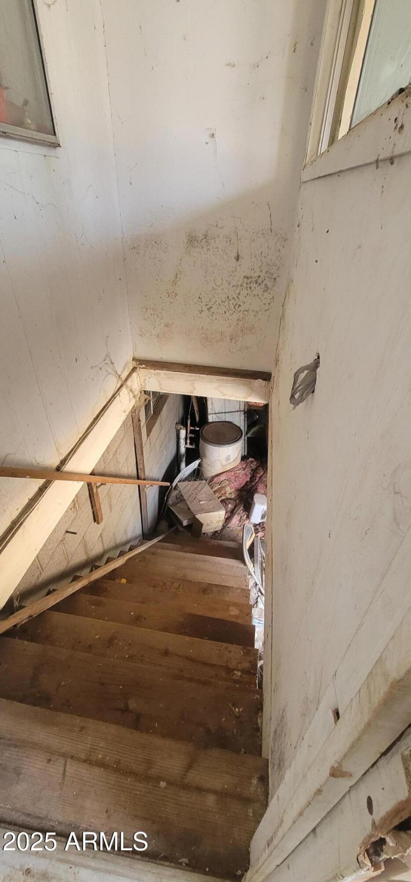 Rear Stairs to Basement