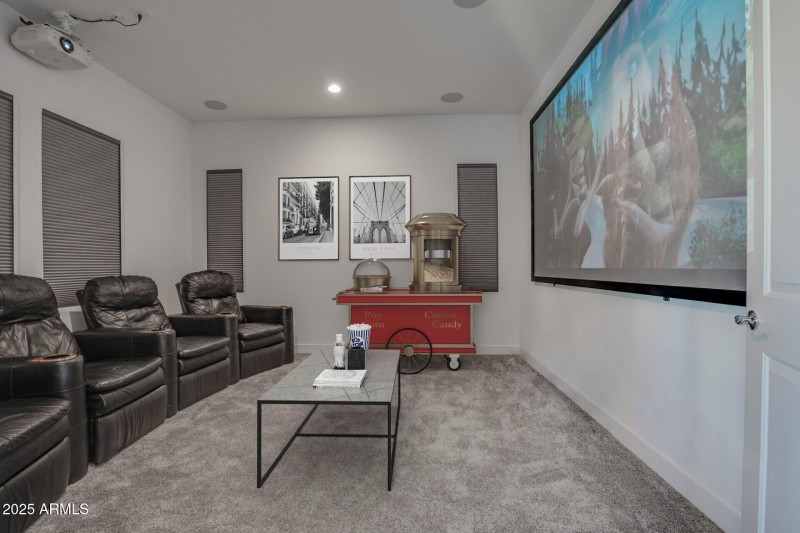 Office/Theatre Room