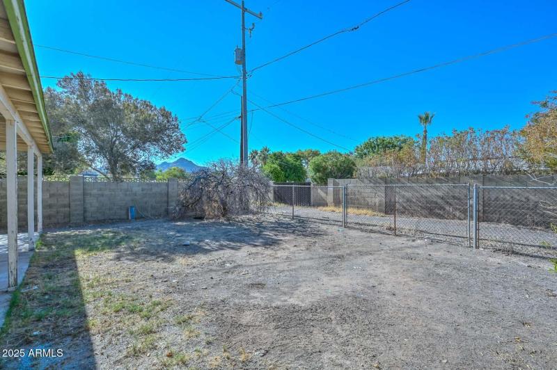 Backyard-Mountain View