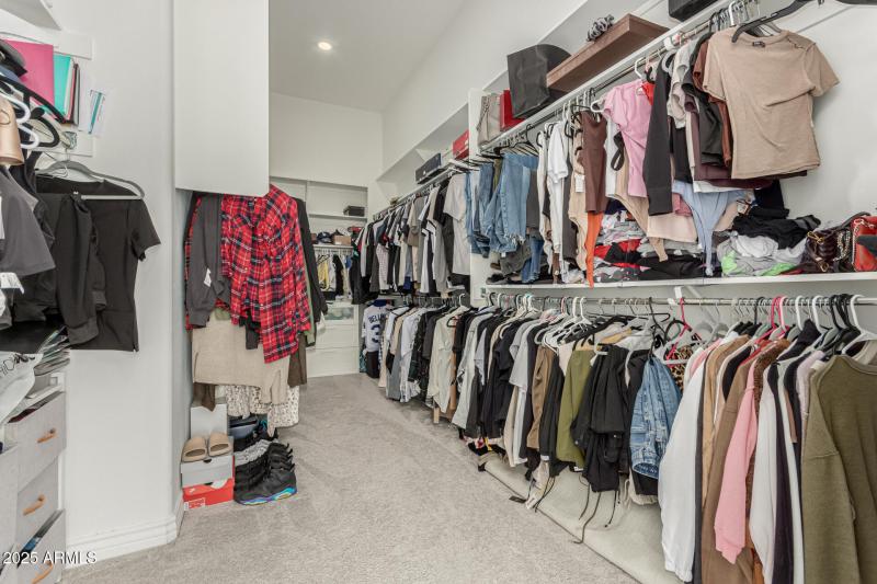 29 - White Feather 3816