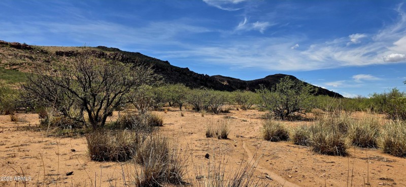 TBD North Bruno Road