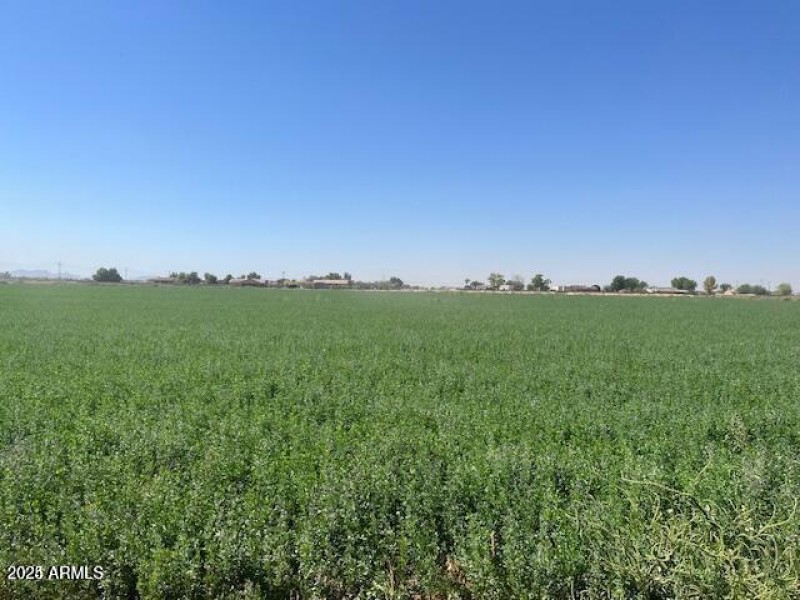 20241007205012340771000000-o