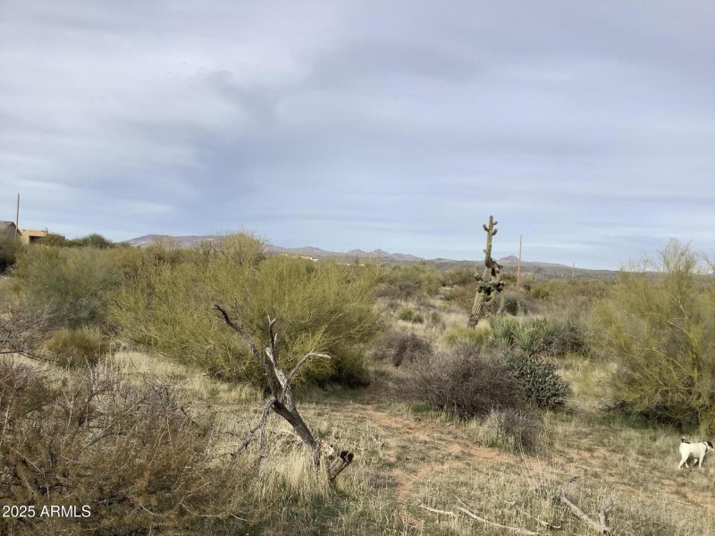 75AAEAB1-7C06-47DF-AE4B-E146ED9DF9E1