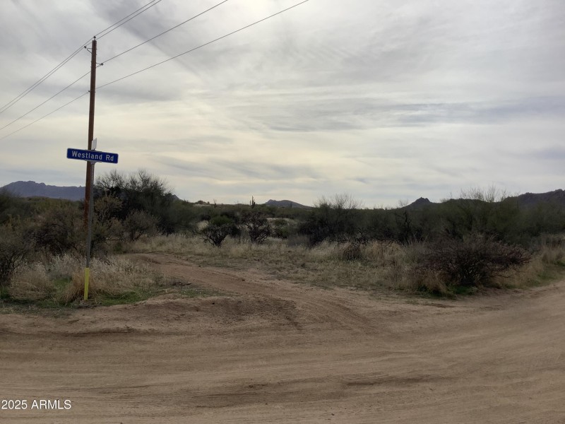 24A4A54D-DEA0-4C12-93A1-79428CE42778