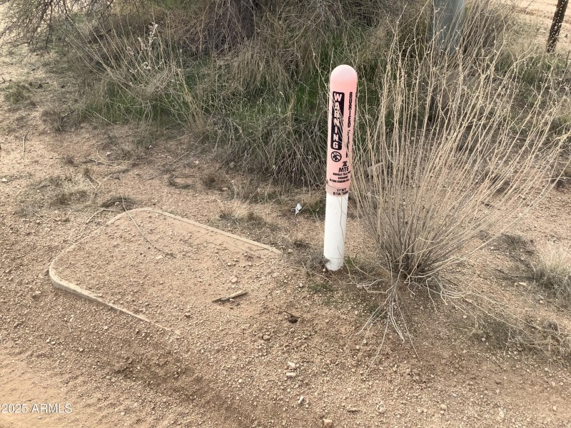 7B233213-C976-4425-986C-0C90A7DAE139