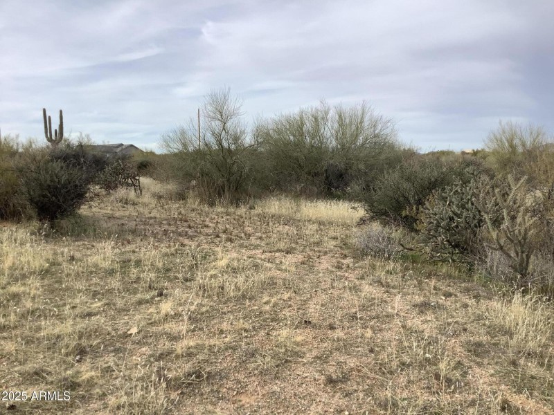 E02C99FC-E1B5-4368-855C-03B9B090171E