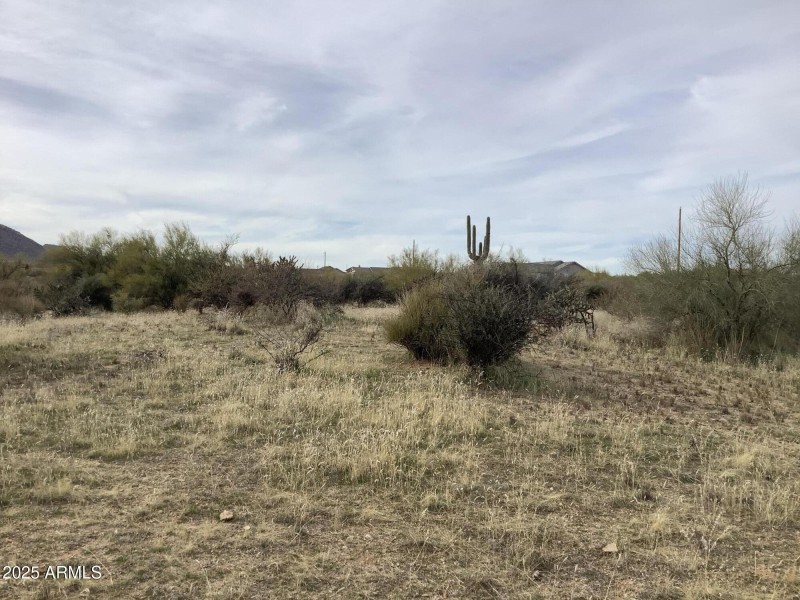 F02D5480-B387-4550-991E-B18765329D0A