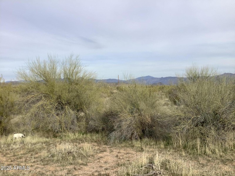 28BF7C23-2059-4D5A-A39B-AF6A2B812375