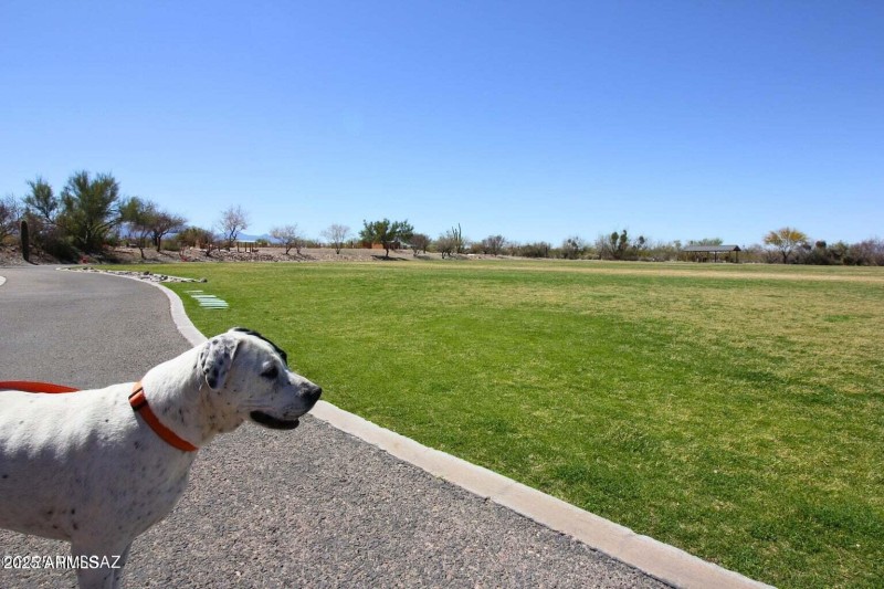 Grassy Park for Pets
