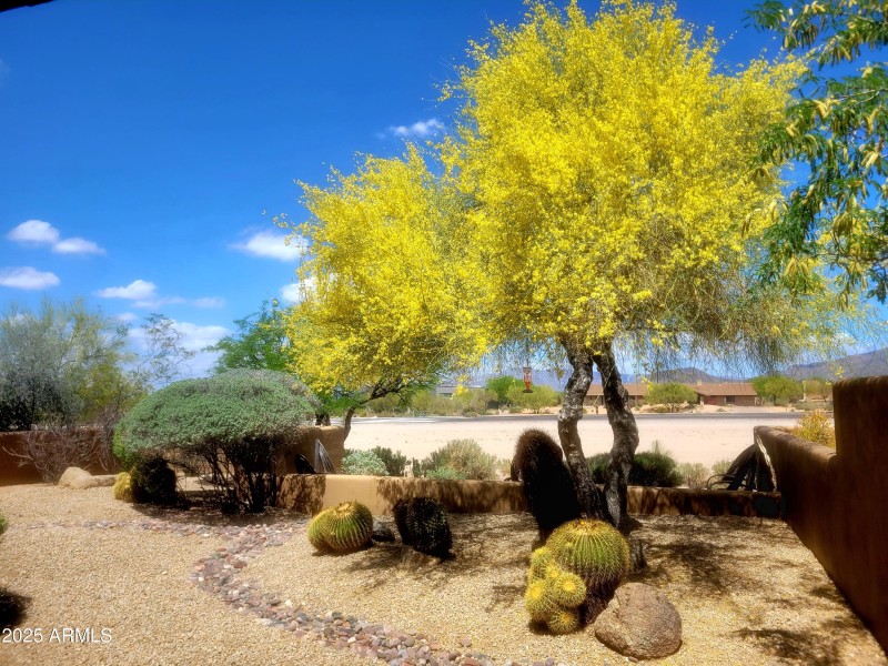 Springtime at Skyranch