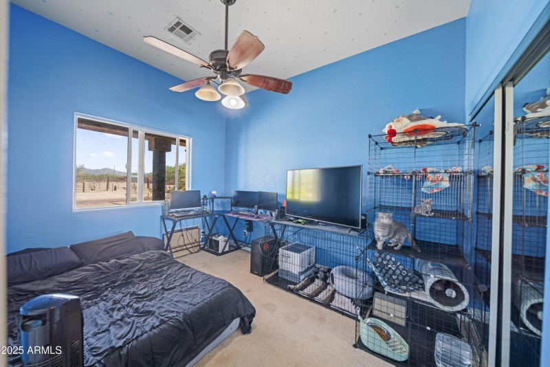 36008 N 213th Dr Wittmann00006