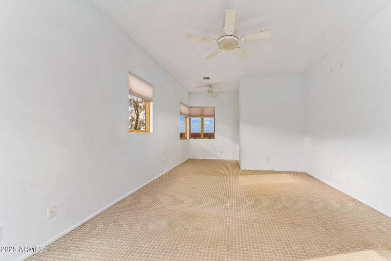 34-web-or-mls-9566 S Swiss Ct-35