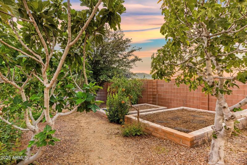 62-web-or-mls-9566 S Swiss Ct-63