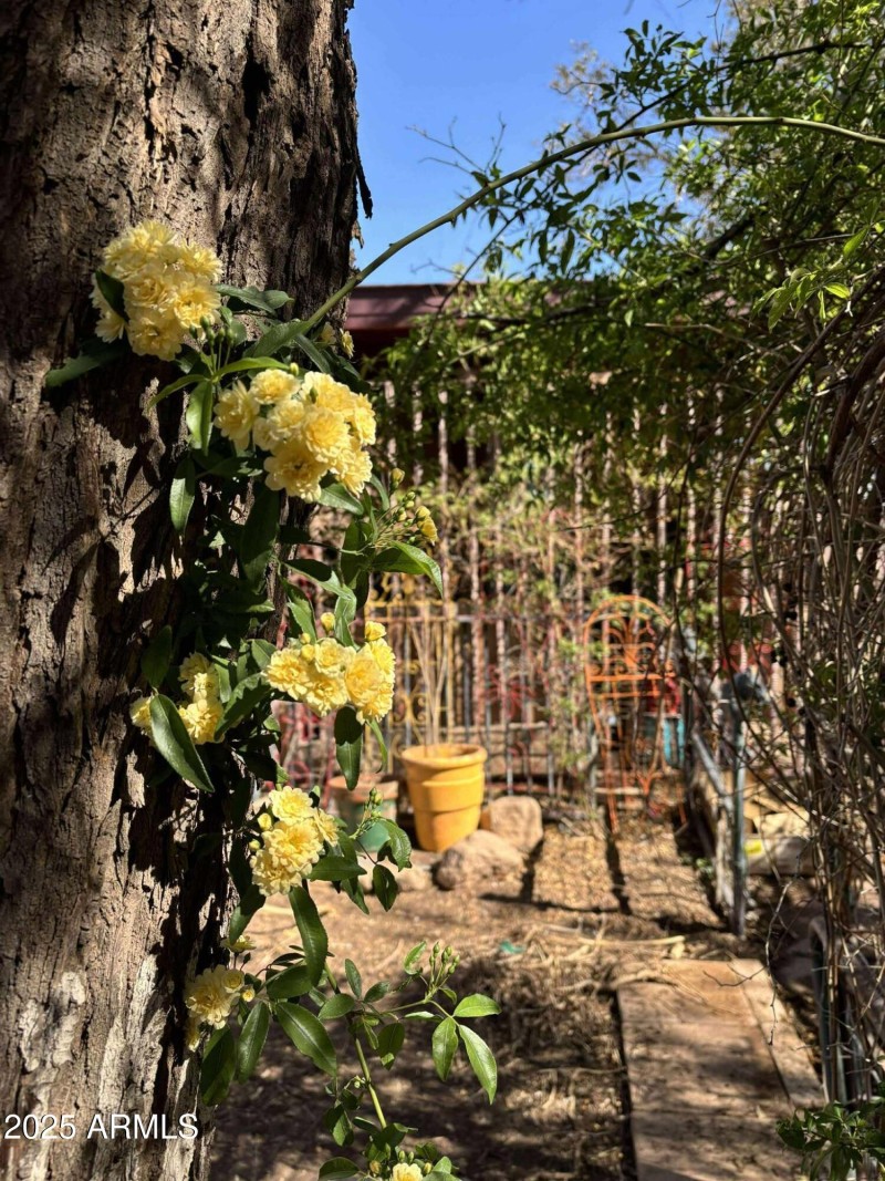 543334056_820594040631221_73498088740344