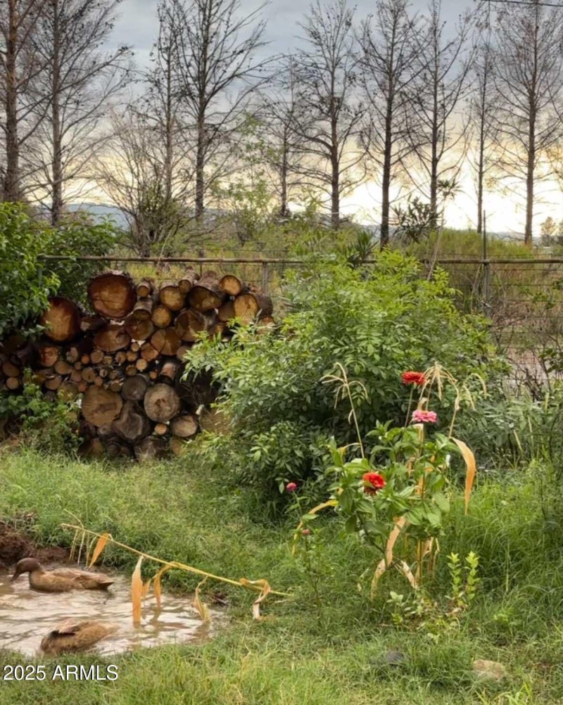 547823499_813975891293683_43359813160740