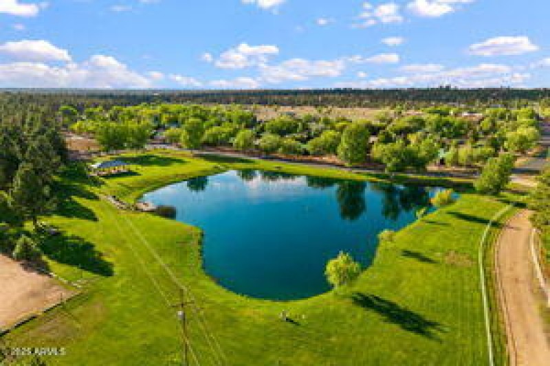 thumbnail-019958b0-1d2f-72f7-a01e-51df2b