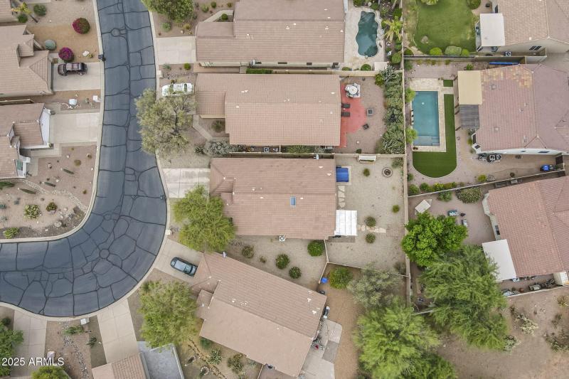 6-web-or-mls-Rising-6