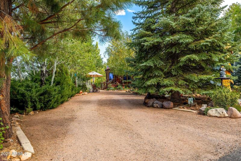 2274WaterNHoleRd-HeberOvergaard-AZ-4