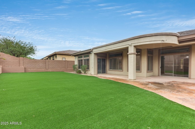 Backyard / Back of Home