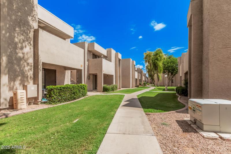 Grass-lined pathways
