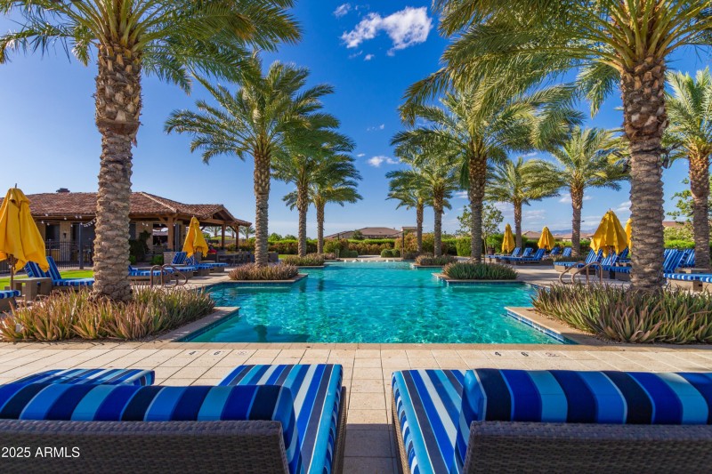 0086-86-Orange Blossom