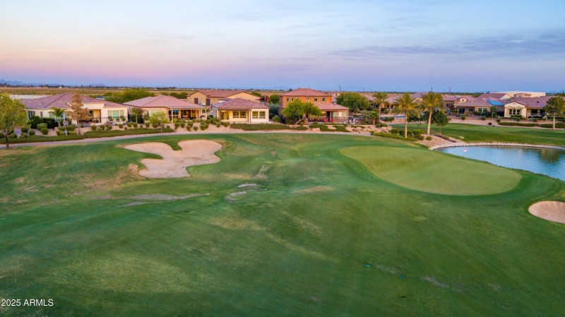 0093-93-Orange Blossom