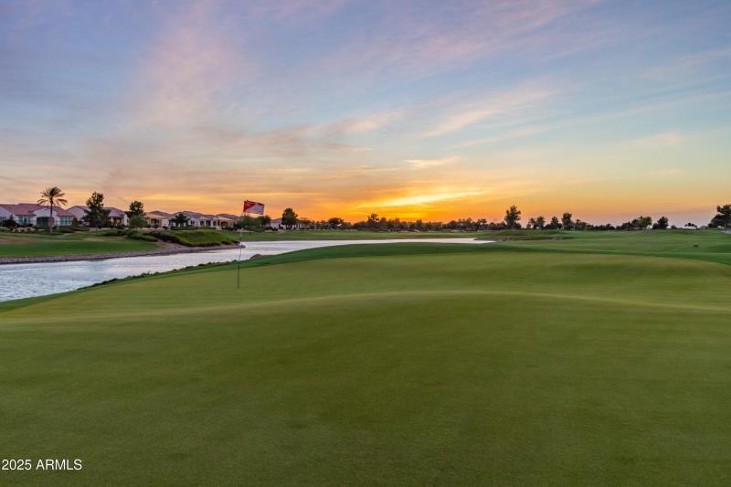 0094-94-Orange Blossom