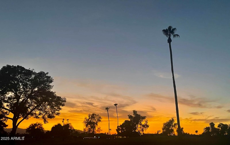 Backyard Faces West for Sunsets