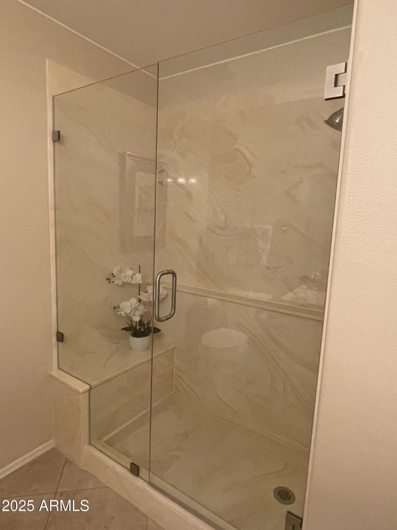 15252 N. 100th St. #1153 Shower 2