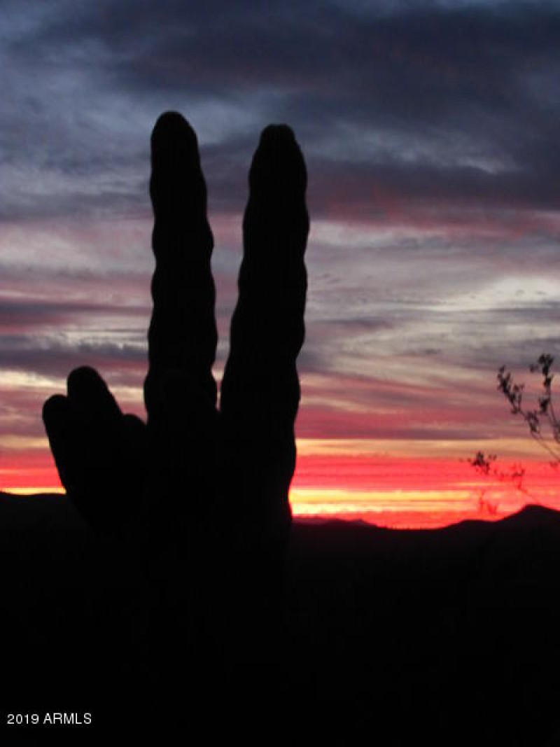 snow,graduation jody kids sunset 040