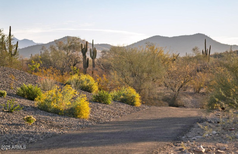 Community Trail Access-2