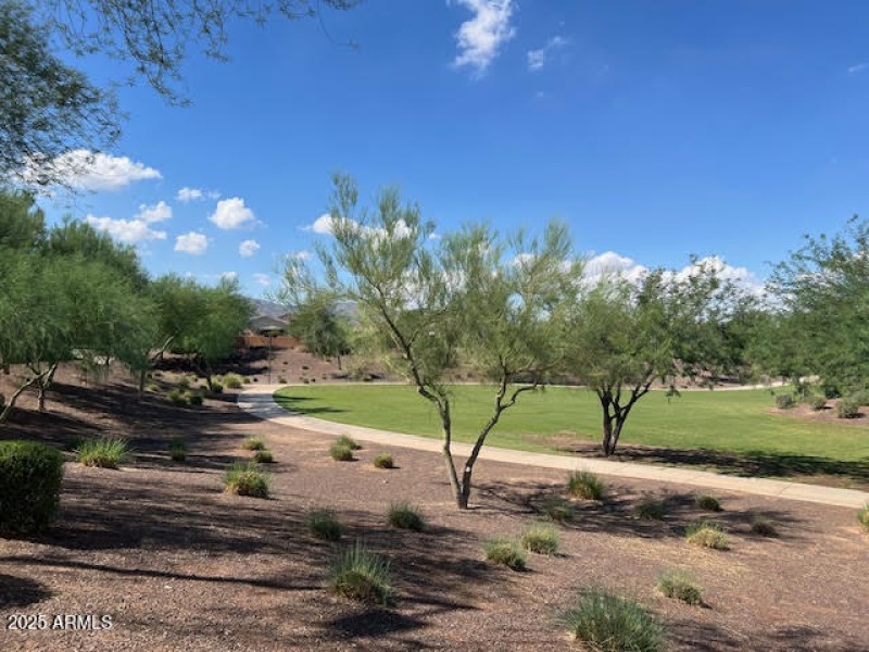 Walking-Biking Paths