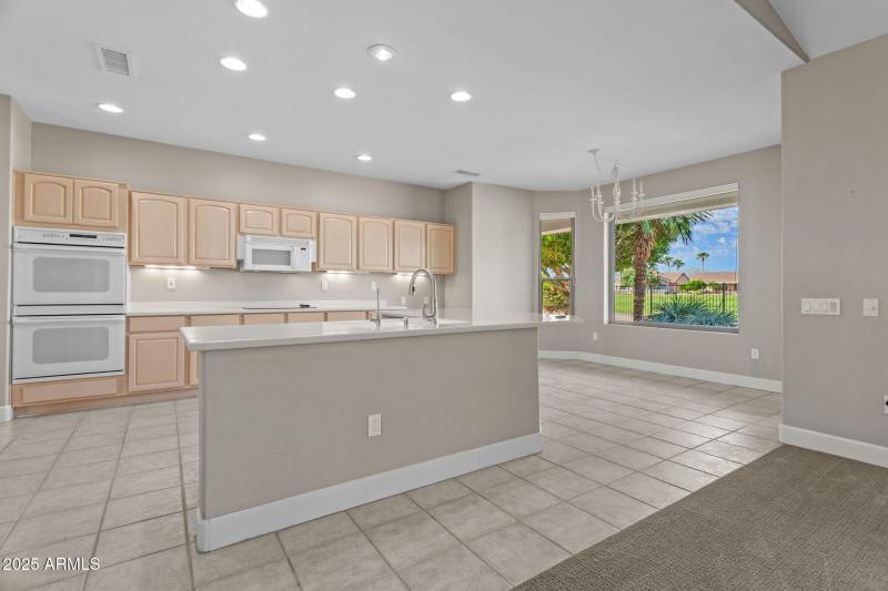 17522 N Ironhorse Dr Surprise - 273