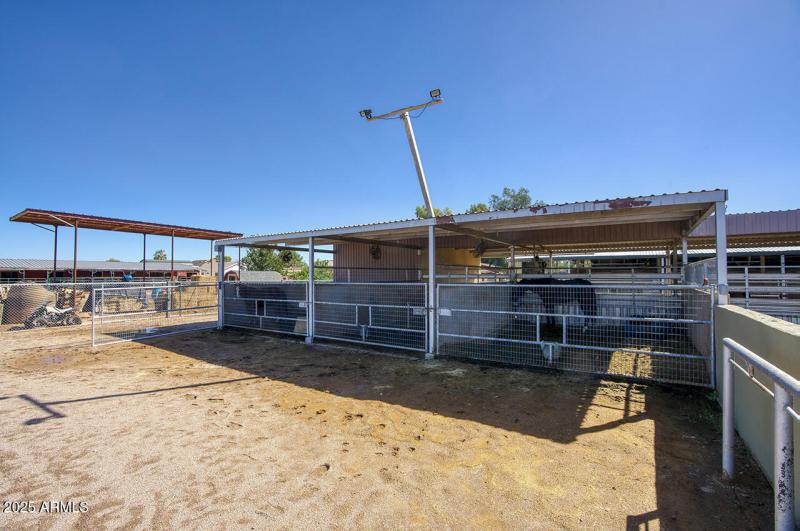 A few of the stalls.